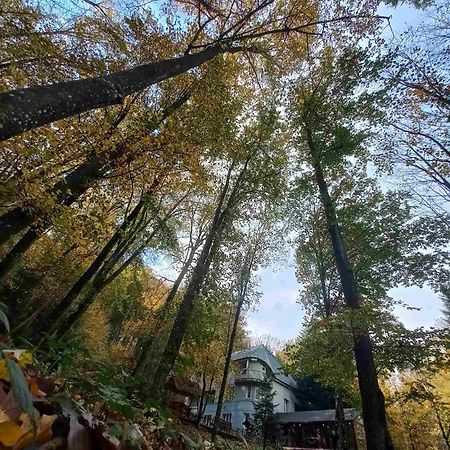 База Відпочинку Шиповець Poroshkovo エクステリア 写真