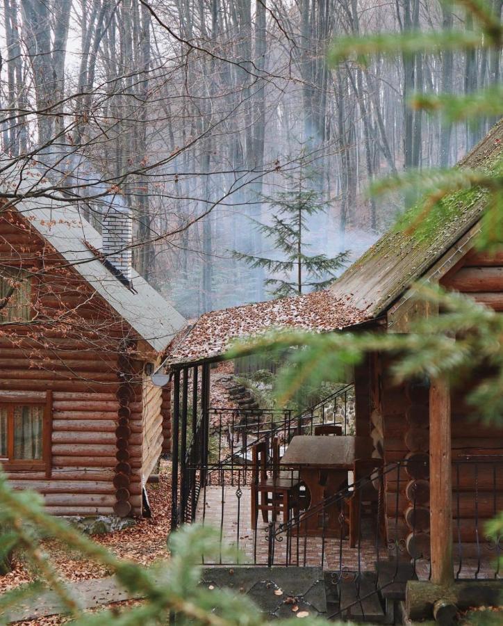 База Відпочинку Шиповець Poroshkovo エクステリア 写真